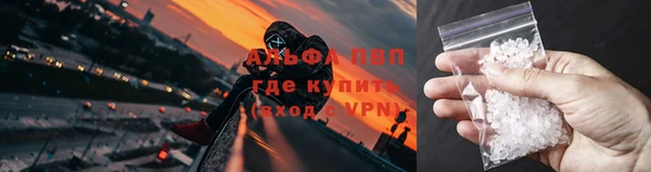 сатива Беломорск