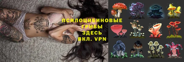 крисы Балабаново