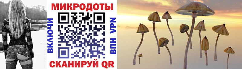 Галлюциногенные грибы Cubensis Кузнецк