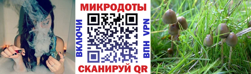 Псилоцибиновые грибы прущие грибы  что такое наркотик  Кузнецк 
